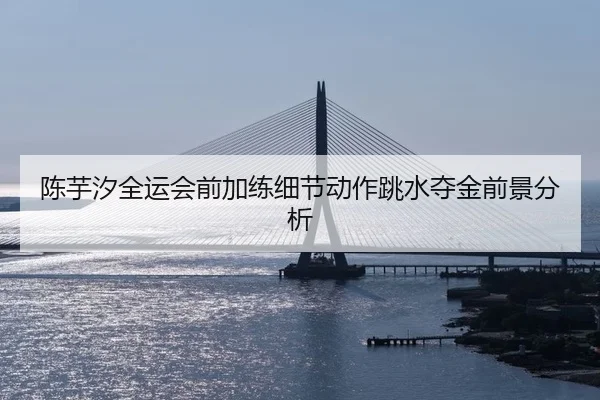 陈芋汐全运会前加练细节动作跳水夺金前景分析