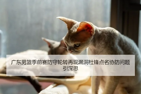 广东男篮季前赛防守轮转再现漏洞杜锋点名协防问题引深思