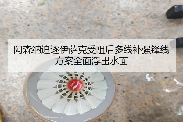 阿森纳追逐伊萨克受阻后多线补强锋线方案全面浮出水面